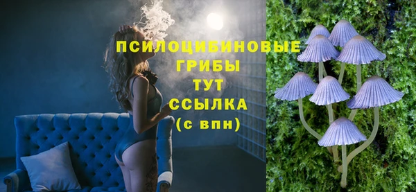 спиды Кукмор