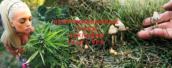 мяу мяу кристалл Липки